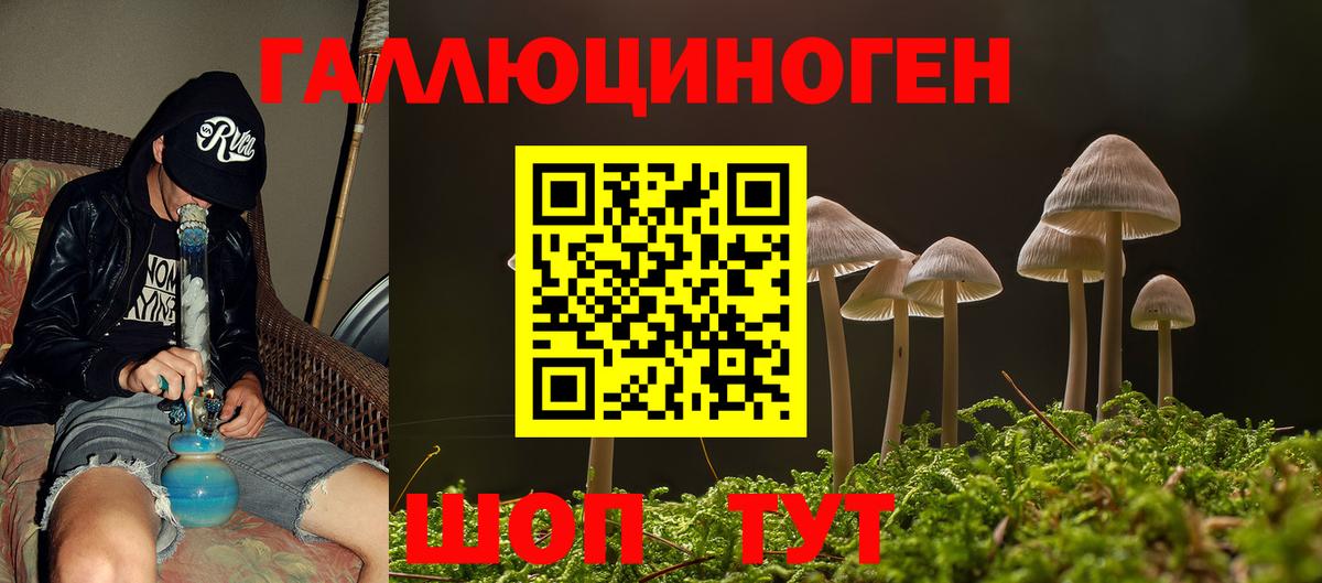 Псилоцибиновые грибы Psilocybine cubensis  Галлюциногенные грибы MAGIC MUSHROOMS  Вход с VPN  Шахты 