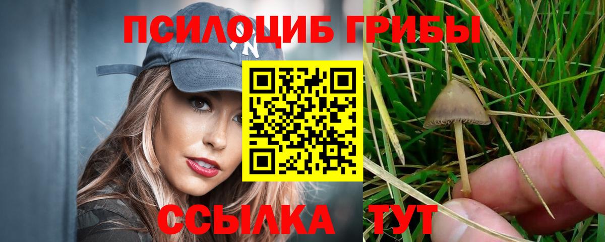 Галлюциногенные грибы Cubensis Шахты